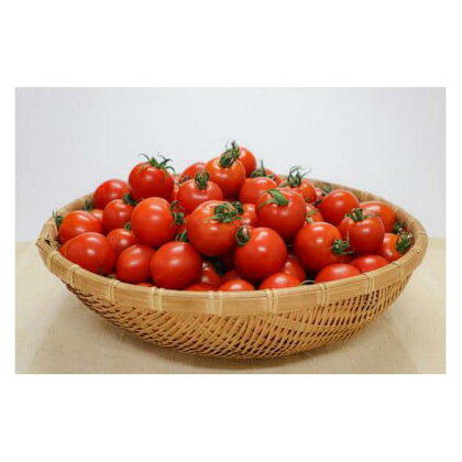 【先行予約】フルーツトマト 三朝町産 2kg × 1箱 | 野菜 やさい 食品 人気 おすすめ 送料無料