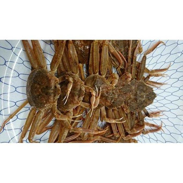 [先行予約]ボイル 親ガニ カニ酢付き ( 5 〜 6枚 ) | 蟹 魚介類 水産 食品 人気 おすすめ 送料無料