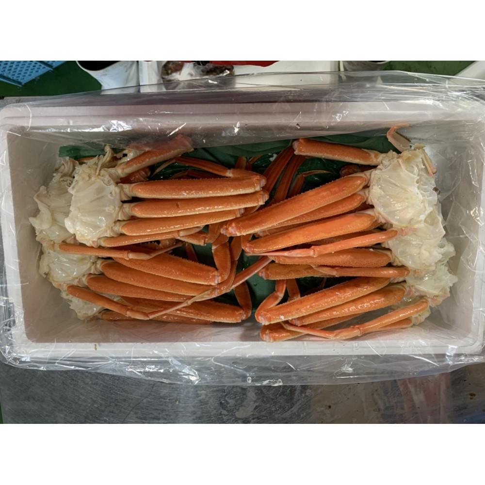 【ふるさと納税】【先行予約】【魚倉】ボイル若松葉ガニ 4尾分8肩(足1〜2本なし含む) | 国産 訳あり ズワイガニ 松葉ガニ カニ 蟹 かに ボイル カニ鍋 ...