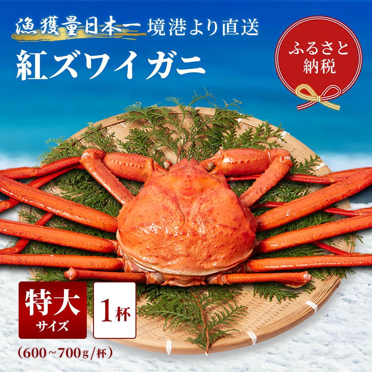 【ふるさと納税】【蟹セレブ】ズワイガニ(紅ズワイガニ)特大1杯(600~700g×1) | 蟹 ズワイガニ 魚介類 水産 食品