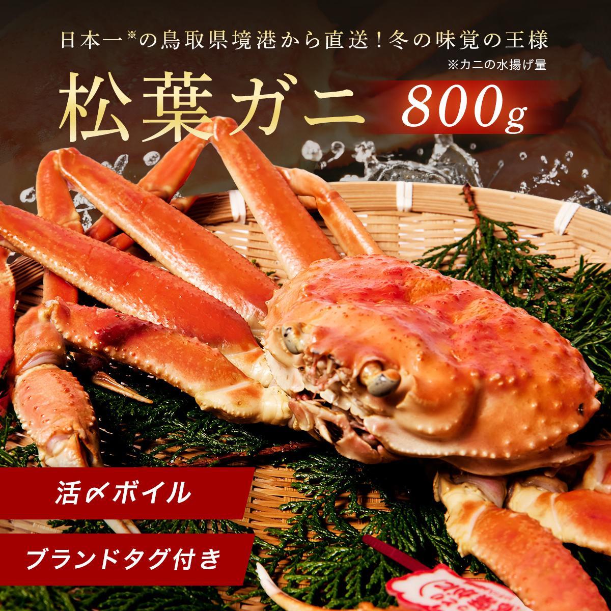 【ふるさと納税】【 先行予約 2026年1月中旬以降〜2月発送 】【蟹セレブ】タグ付き活〆ボイル・松葉がに(大・800g前後) | 国産 訳あり ズワイガニ 松...