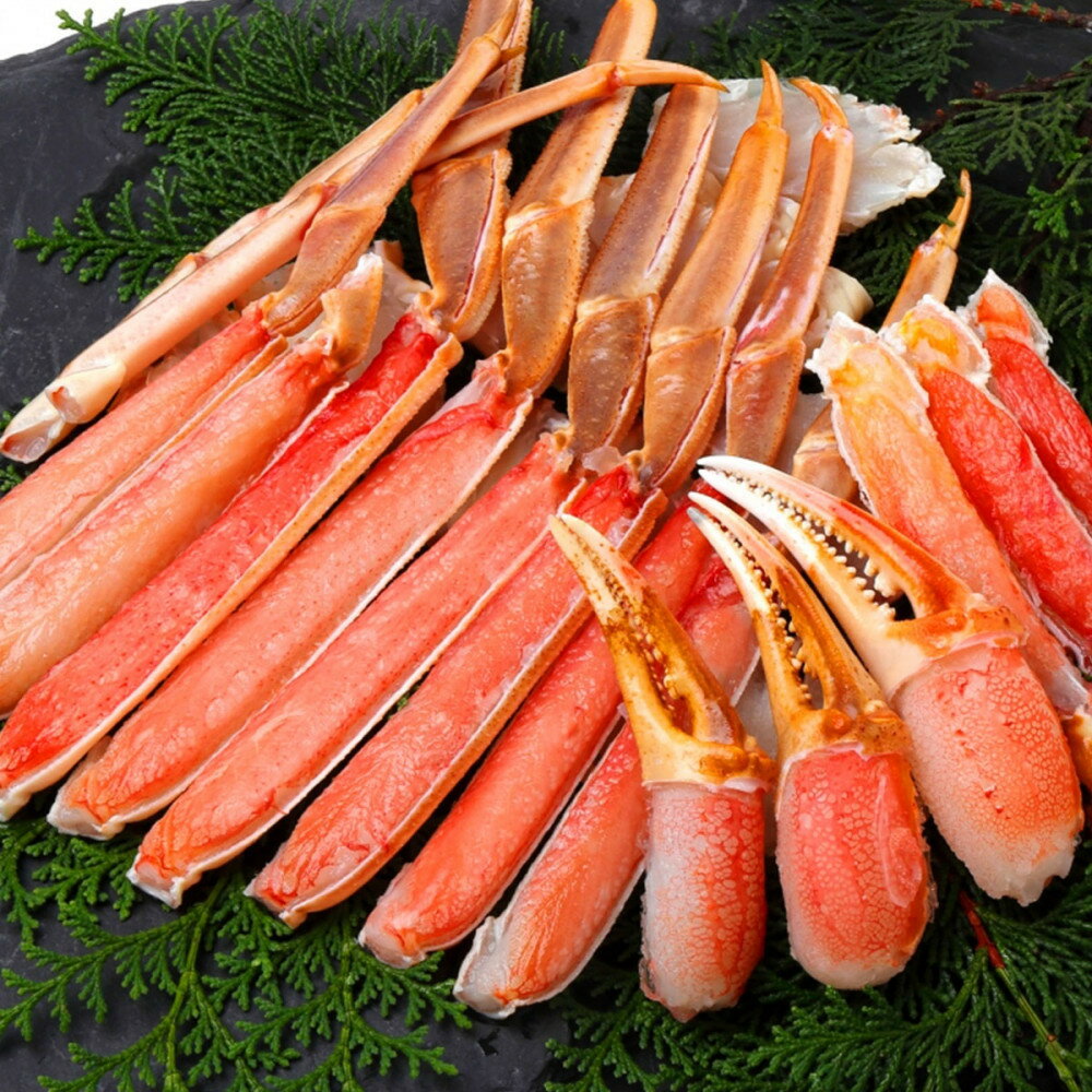 【ふるさと納税】【 12月以降発送 】【蟹セレブ】カット生紅ずわい蟹2kg