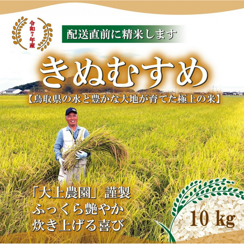 【ふるさと納税】令和7年 鳥取県産　きぬむすめ 10kg...
