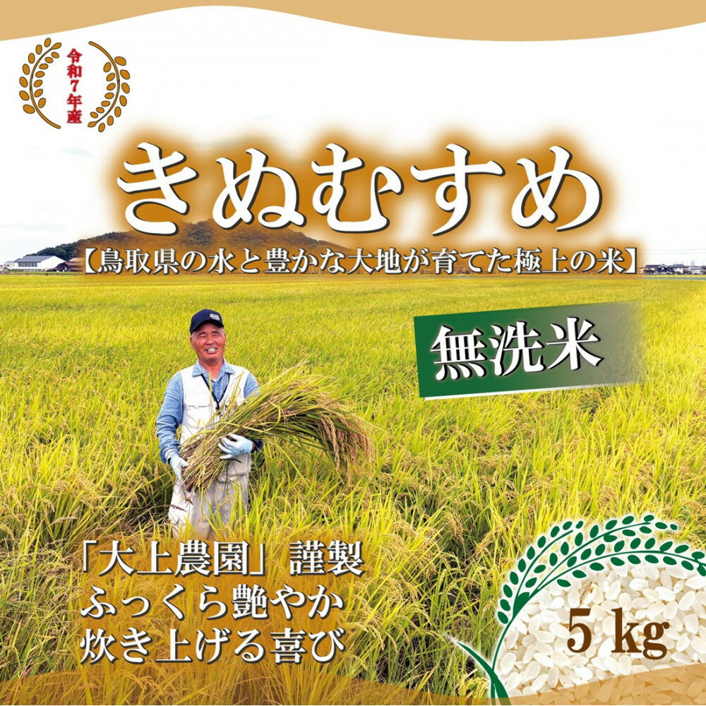 【ふるさと納税】令和7年 鳥取県産 きぬむすめ無洗米 5kg...