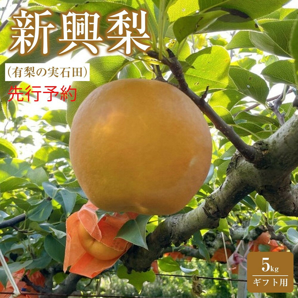 有梨の実石田 新興梨(ギフト用)5kg(10月中旬から発送) | フルーツ 果物 くだもの 食品