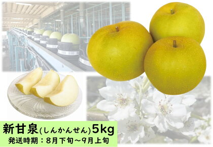 新甘泉5kg