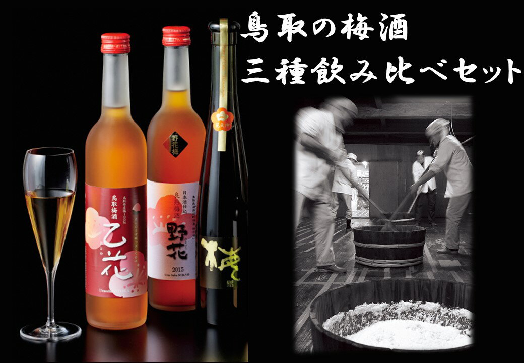 【ふるさと納税】鳥取の梅酒・三種飲み比べセット