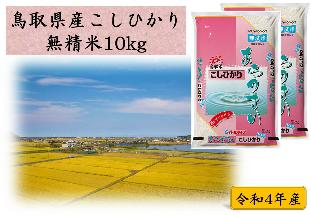 【ふるさと納税】鳥取県産こしひかり◇無洗米10kg◇令和4年産