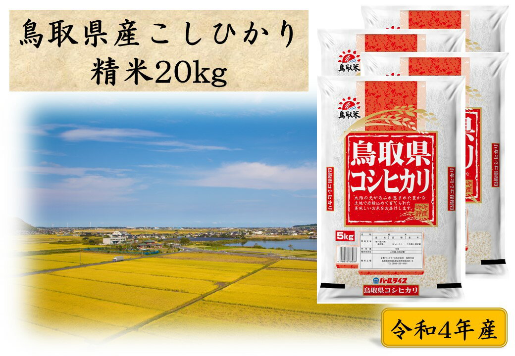 【ふるさと納税】鳥取県産こしひかり◇精米20kg◇令和4年産