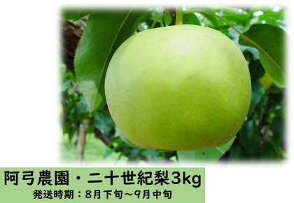 阿弓農園 二十世紀3kg