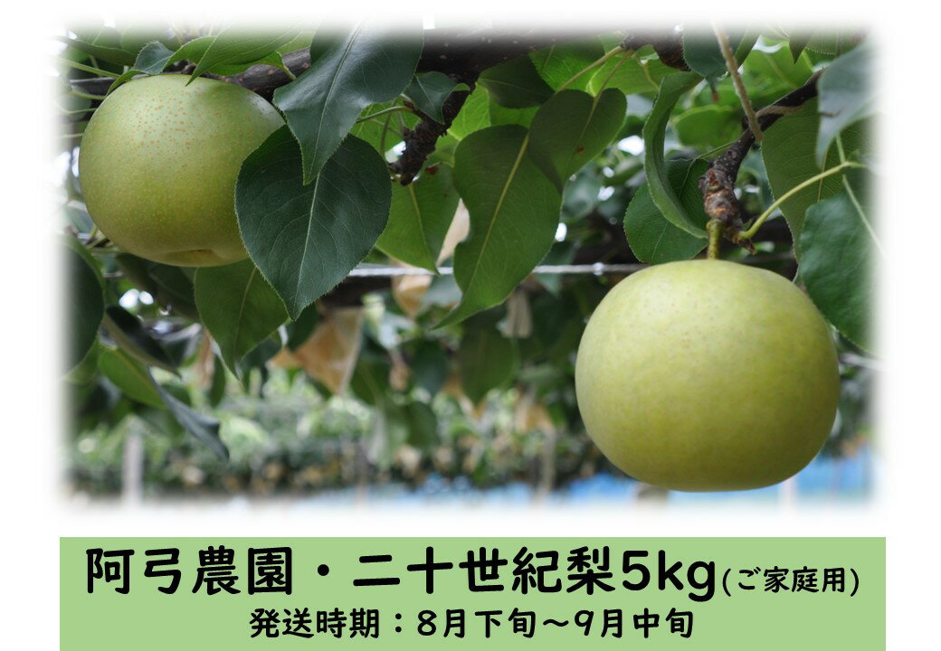 阿弓農園 二十世紀5kg〔ご家庭用〕