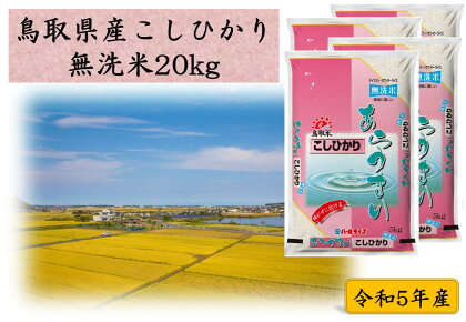 鳥取県産こしひかり◇無洗米20kg◇令和5年産