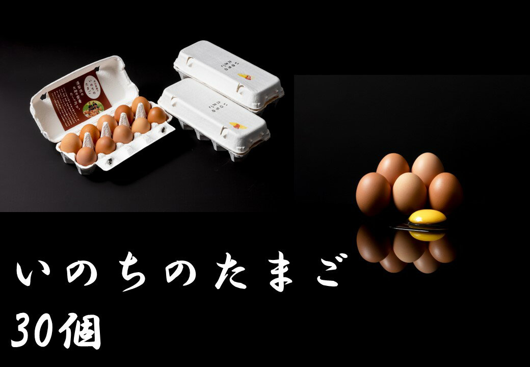 21位! 口コミ数「0件」評価「0」平飼い鶏の『いのちのたまご』30個