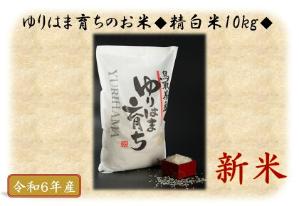 ゆりはま育ちのお米◇精白米10kg◇令和6年産