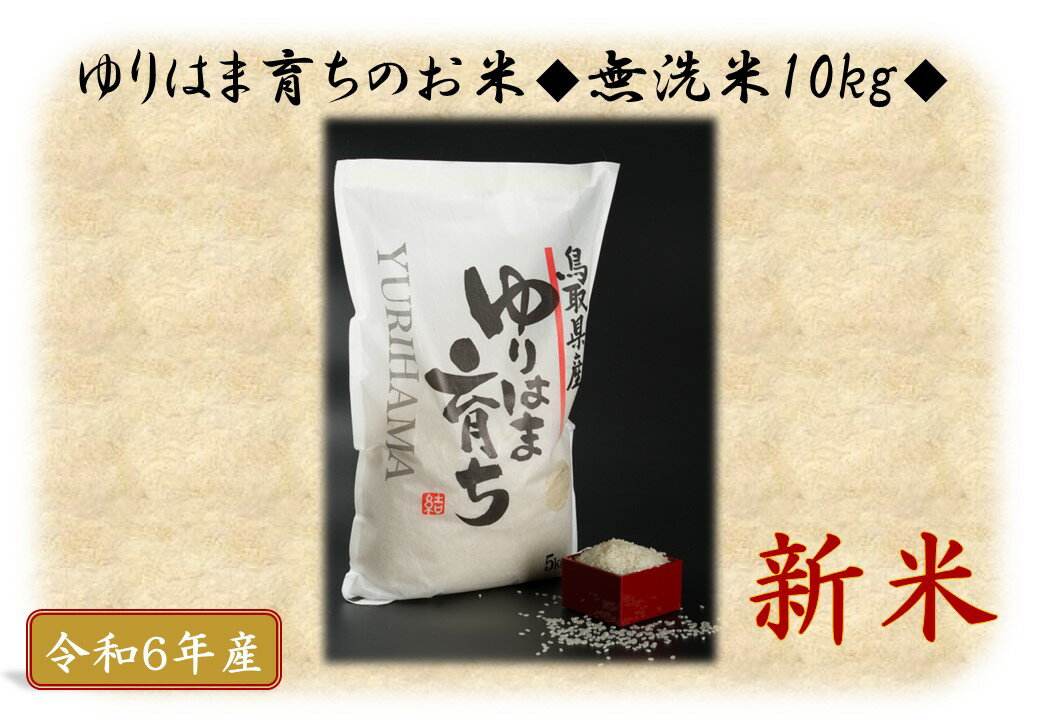 【ふるさと納税】ゆりはま育ちのお米◇無洗米10kg◇令和6年産