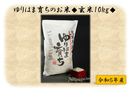 ゆりはま育ちのお米◇玄米10kg◇令和5年産