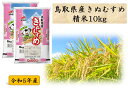 【ふるさと納税】鳥取県産きぬむすめ◇精米10kg◇令和5年産