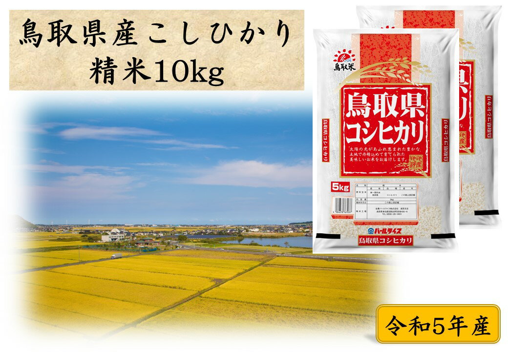 【ふるさと納税】鳥取県産こしひかり◇精米10kg◇令和5年産