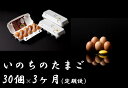 9位! 口コミ数「0件」評価「0」平飼い鶏の『いのちのたまご』10個入り×3パック×3ヶ月〔定期便〕