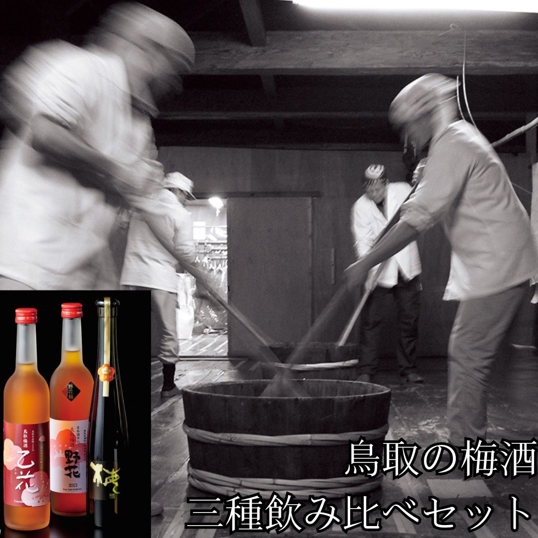 【ふるさと納税】鳥取の梅酒・三種飲み比べセット