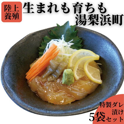 湯梨浜ひらめの元気漬丼5袋セット