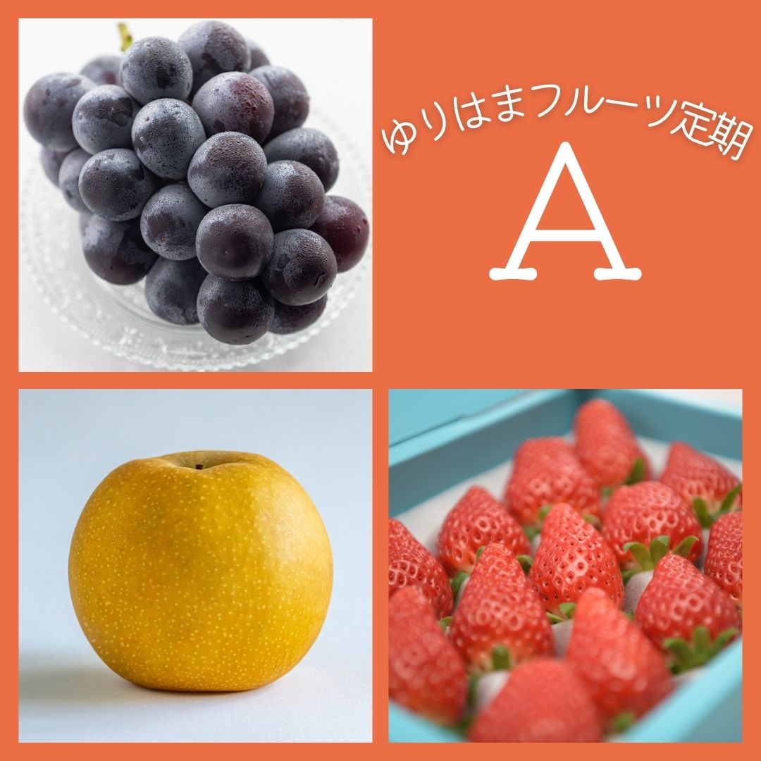 【ふるさと納税】ゆりはまフルーツ定期A