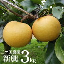 【ふるさと納税】■三ツ田農園■新興3kg