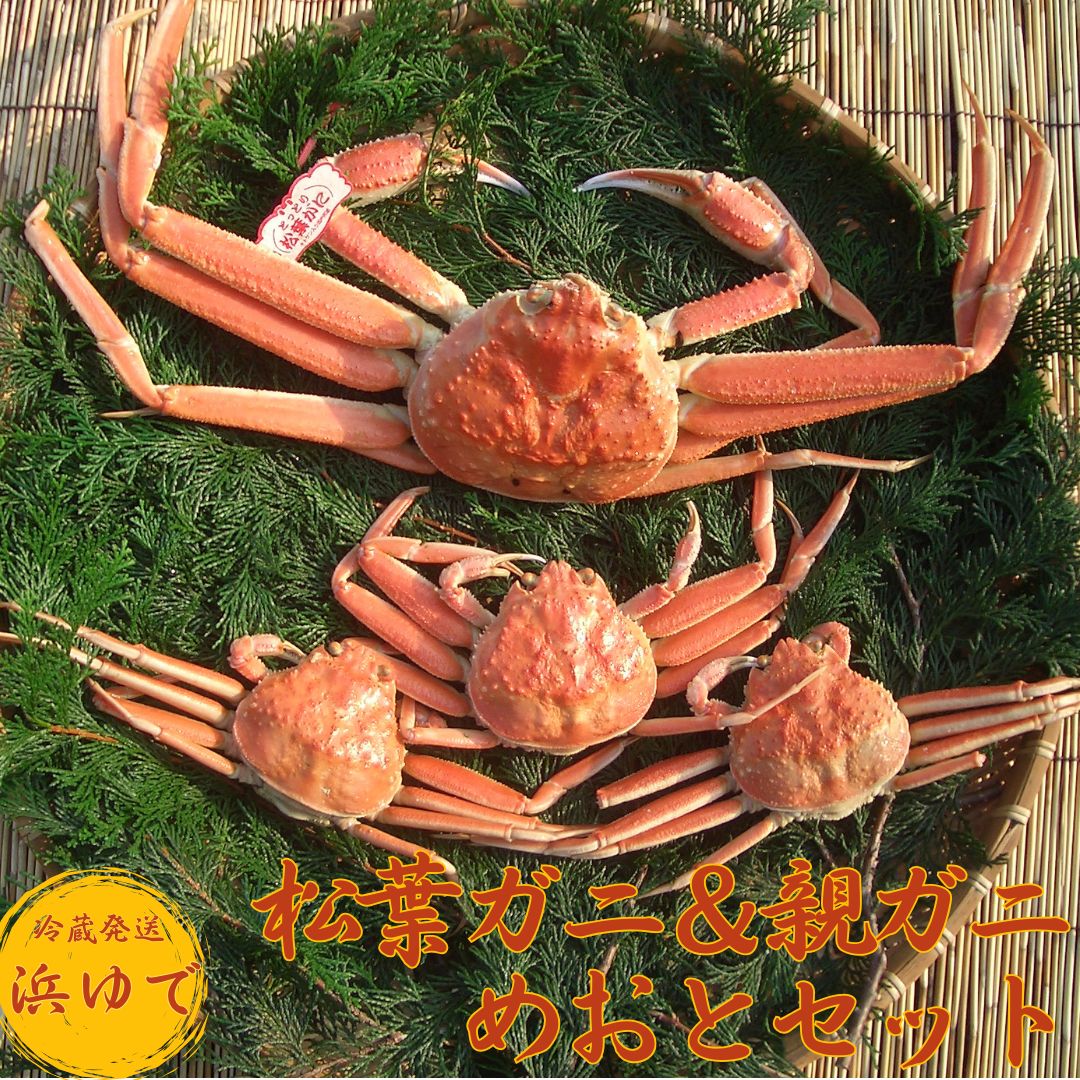 【ふるさと納税】鳥取県産松葉ガニ&親ガニ◇めおと◇セット〔浜ゆで〕