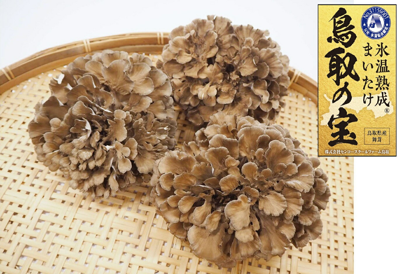 【ふるさと納税】氷温熟成舞茸『鳥取の宝』大満足セット