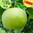 【ふるさと納税】■阿弓農園■二十世紀5kg〔ご家庭用〕