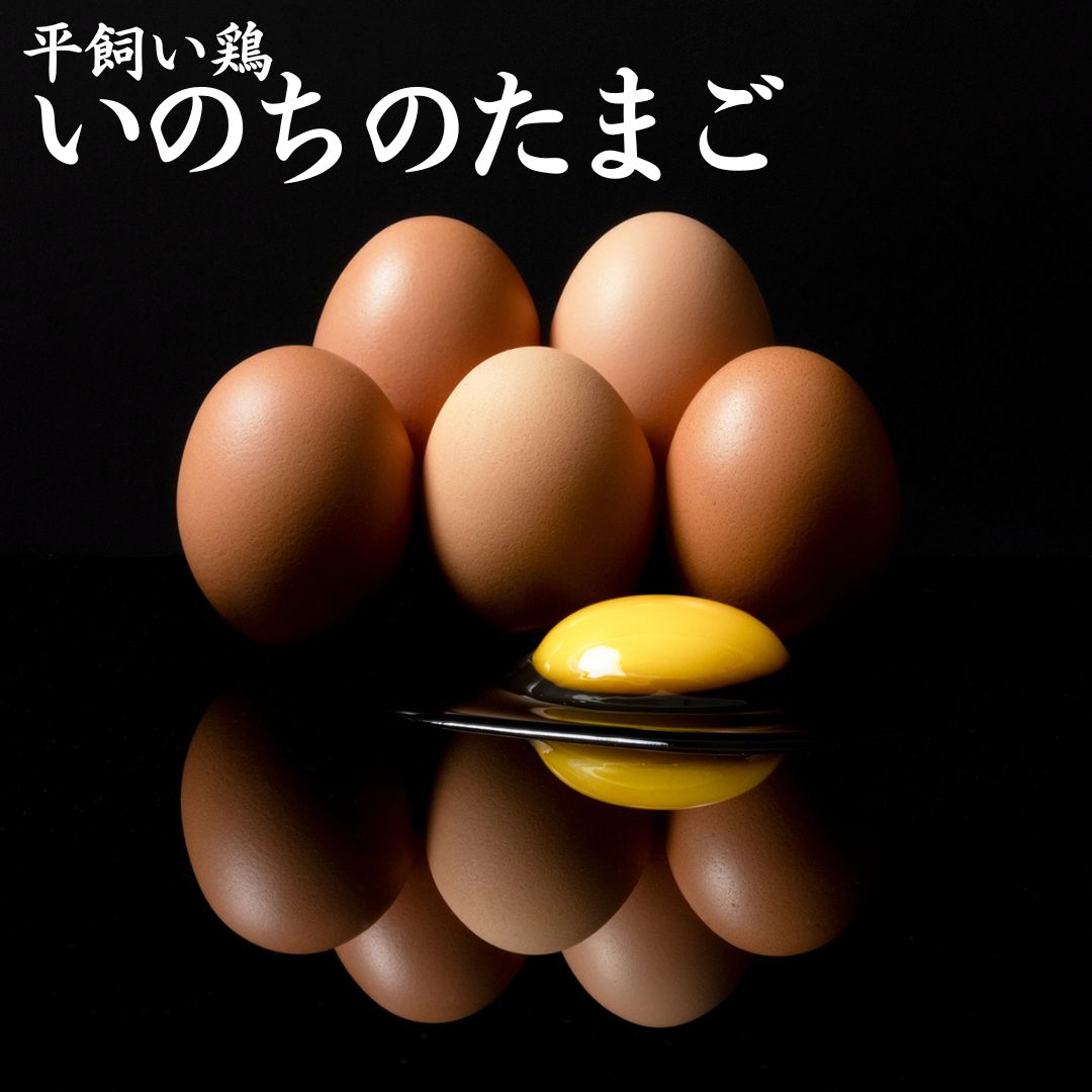 【ふるさと納税】平飼い鶏の『いのちのたまご』