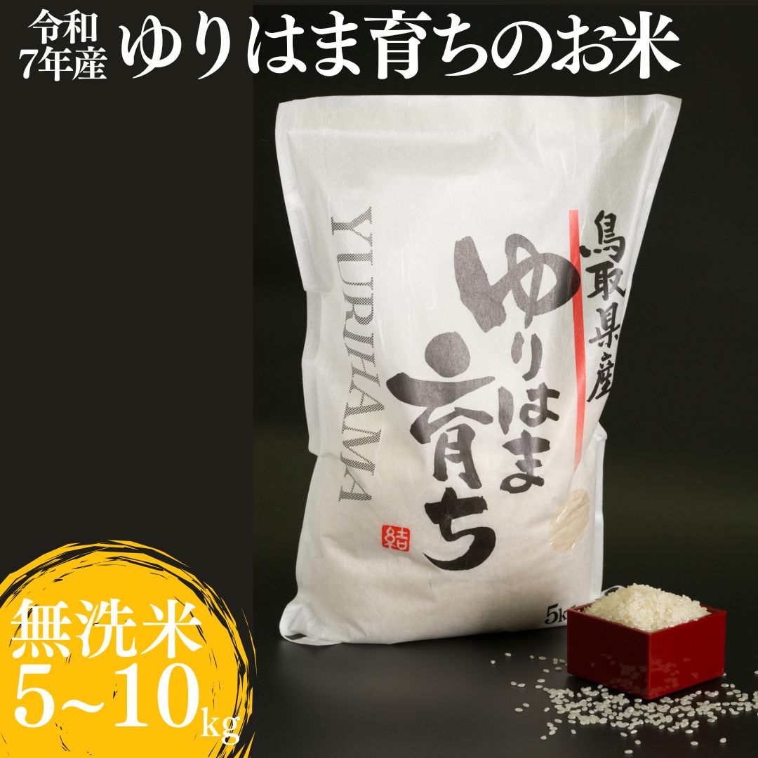 コシヒカリ お米 無洗米 5kg 10kg 令和7年産 | ゆりはま育ち こしひかり 新米