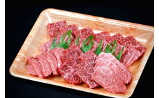 【ふるさと納税】国産和牛 焼肉用 特上赤身肉 600g KT020-003