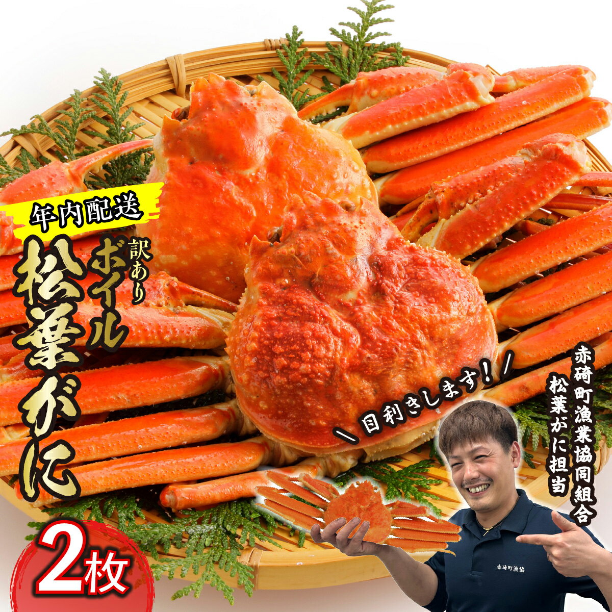 【ふるさと納税】7.訳あり松葉ガニ（ボイル）2枚【年内配送】※着日指定不可※北海道、沖縄、一部離島への配送不可《ずわいがに　かに　カニ　蟹》のサムネイル