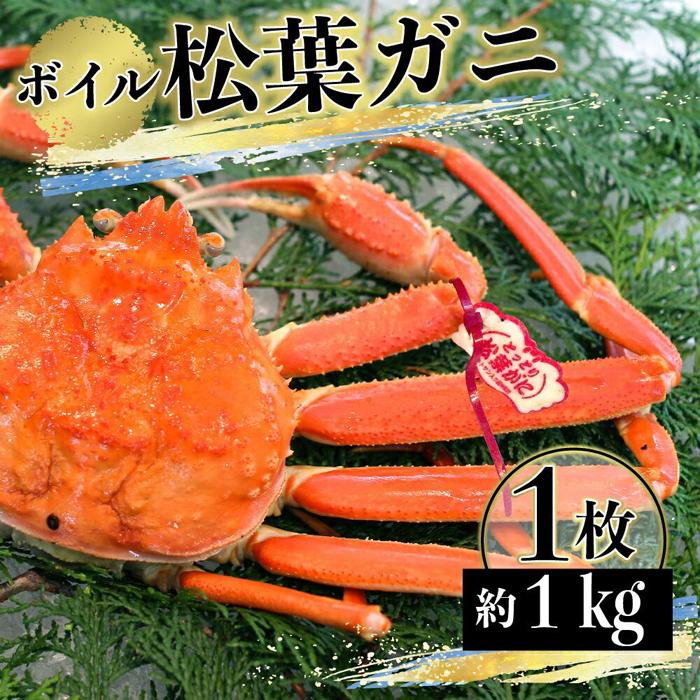 【先行予約】（タグ付き）松葉がに（ボイル） 1枚（約1kg）【年内配送】※着日指定不可※北海道、沖縄、一部離島への配送不可《ずわいがに　かに　カニ　蟹　正体》 | 蟹 魚介類 水産 食品 人気 おすすめ 送料無料