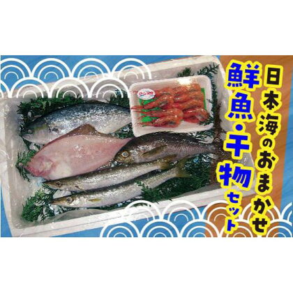 山陰直送 旬の鮮魚と干物の詰め合わせ　※北海道、沖縄、一部離島への配送不可