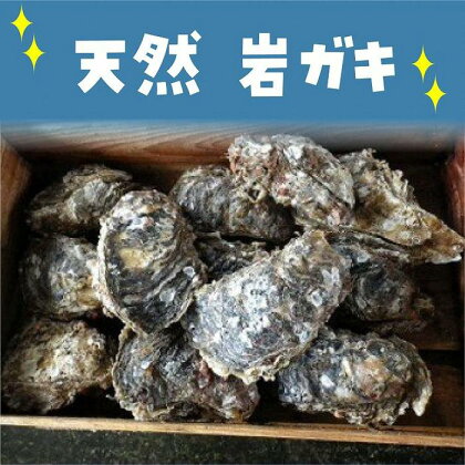 天然 岩ガキ 約200g×8個　※北海道、沖縄、一部離島への配送不可 | カキ 魚介類 水産 食品 人気 おすすめ 送料無料