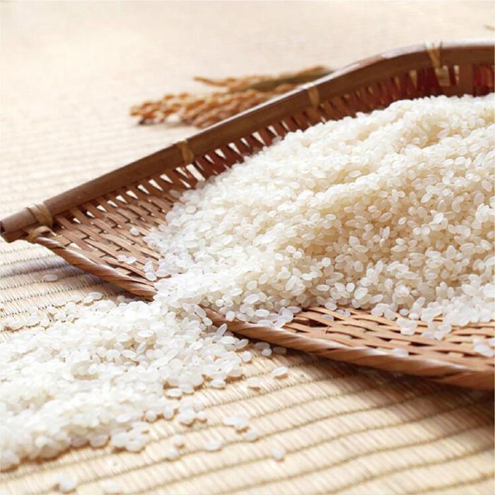 【ふるさと納税】米 ミルキークイーン 鳥取県産 5kg | お米 こめ 白米 食品 人気 おすすめ 送料無料