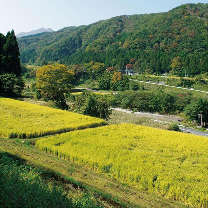 鳥取県琴浦町の画像3
