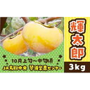 21位! 口コミ数「0件」評価「0」数量限定 鳥取県産柿 輝太郎（きたろう） 3kg | フルーツ 果物 くだもの 食品 人気 おすすめ 送料無料