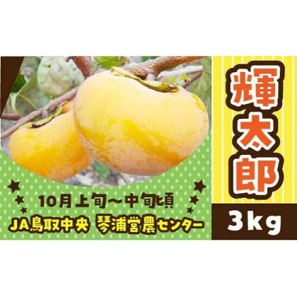 数量限定 鳥取県産柿 輝太郎（きたろう） 3kg | フルーツ 果物 くだもの 食品 人気 おすすめ 送料無料