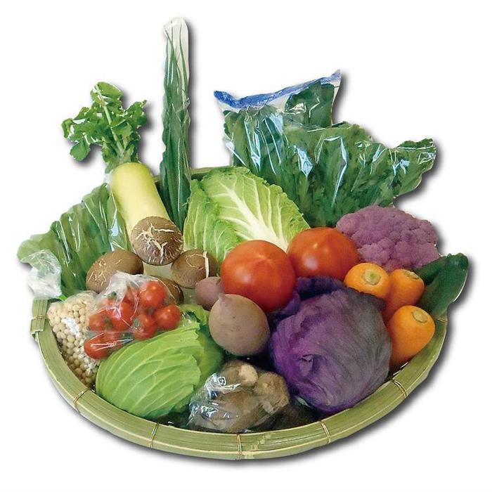 【ふるさと納税】旬の野菜おまかせセット | 野菜 やさい 食品 人気 おすすめ 送料無料