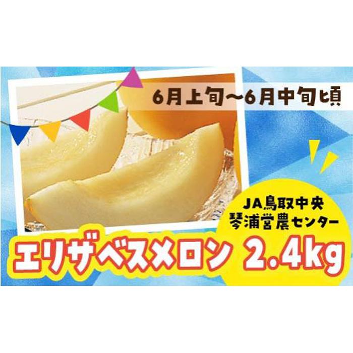 数量限定 鳥取県産 エリザベスメロン 4玉(2.4kg) | フルーツ 果物 食品 人気 おすすめ 送料無料