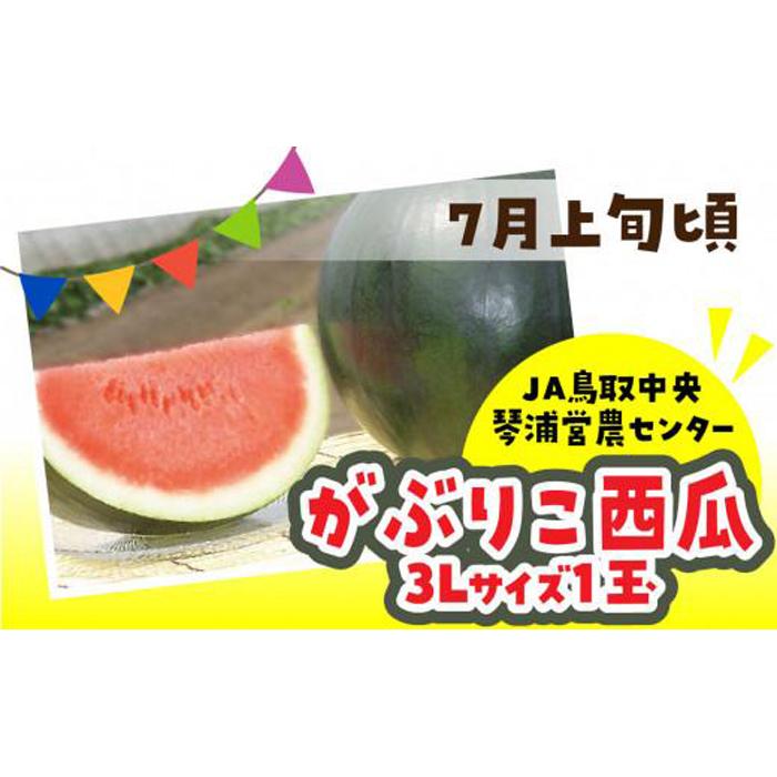 【ふるさと納税】数量限定 鳥取県産 がぶりこ西瓜 1玉（3L） | フルーツ 果物 くだもの 食品 人気 お...
