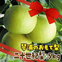 25位! 口コミ数「37件」評価「4.73」数量限定 鳥取県産梨 二十世紀梨 5kg（12～14玉） | フルーツ 果物 くだもの 食品 人気 おすすめ 送料無料