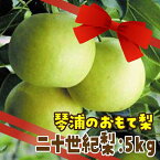 【ふるさと納税】数量限定 鳥取県産梨 二十世紀梨 5kg（12～14玉） | フルーツ 果物 くだもの 食品 人気 おすすめ 送料無料