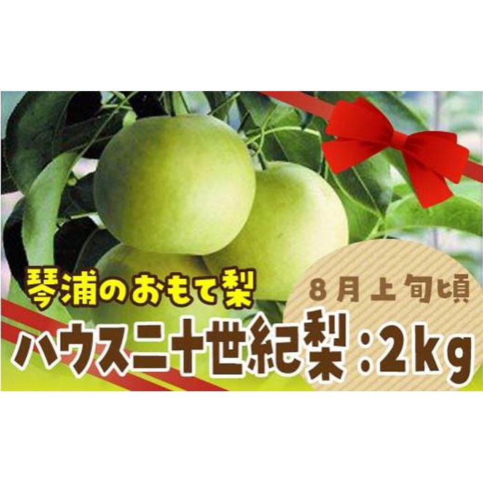 【ふるさと納税】数量限定 鳥取県産梨 ハウス二十世紀梨 2kg（5～6玉） | フルーツ 果物 くだもの 食品 人気 おすすめ 送料無料