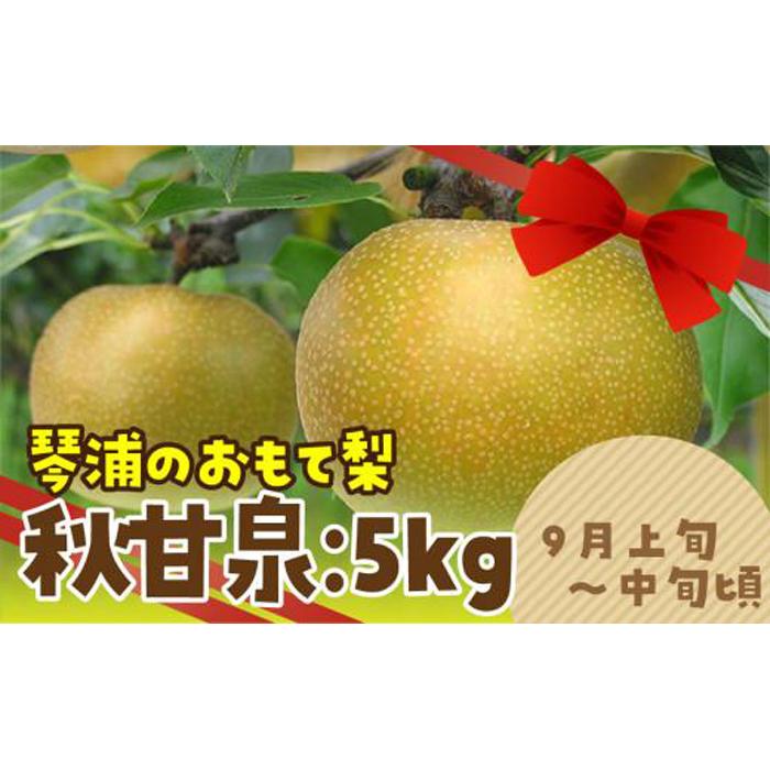 数量限定 鳥取県産梨 秋甘泉(あきかんせん) 5kg(8〜12玉) | フルーツ 果物 くだもの 食品 人気 おすすめ 送料無料