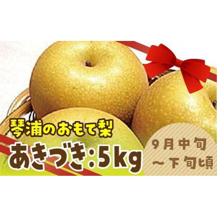 数量限定 鳥取県産梨 あきづき 5kg(10〜12玉) | フルーツ 果物 くだもの 食品 人気 おすすめ 送料無料