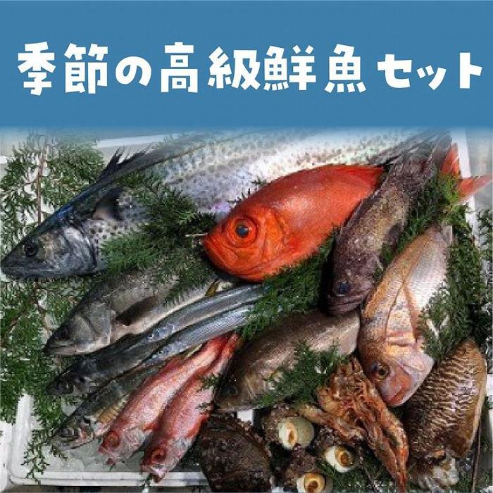旬の高級鮮魚セット 年4回　※北海道、沖縄、一部離島への配送不可 | 魚 お魚 さかな 食品 人気 おすすめ 送料無料